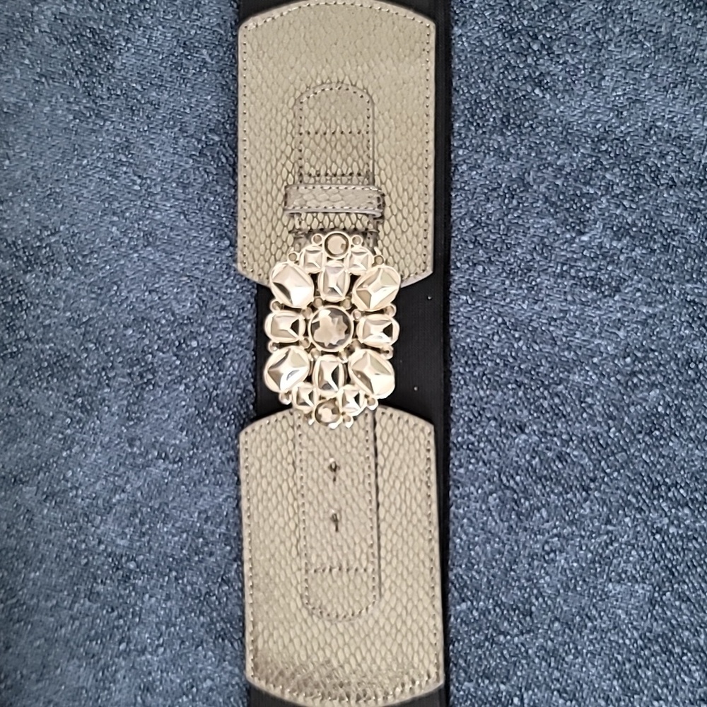 New York & Company Pewter Metallic Jewel-Embellished Belt